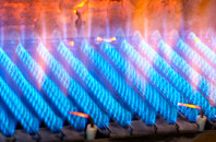 Brunswick gas fired boilers